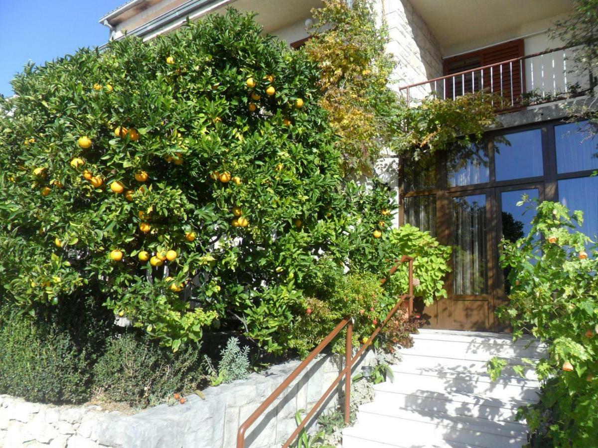 Guest House Mijo Sokol Brela Exterior photo